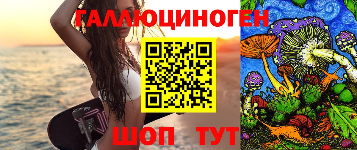 Избербаш  Псилоцибиновые грибы GOLDEN TEACHER  Вход с VPN  Псилоцибиновые грибы Cubensis 